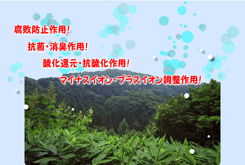 RہELp/}CiXCIEvXCIop/_ҌER_p/sh~p